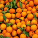 Detectaron 140 toneladas de naranjas ilegales en zonas fronterizas y refuerzan los controles