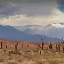 Todo lo que ten�s que saber para visitar el norte argentino: actividades, lugares y recomendaciones