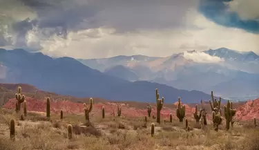 salta