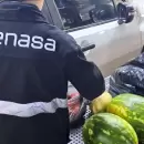 El Senasa decomis� m�s de 2 toneladas de productos en el Paso Cristo Redentor