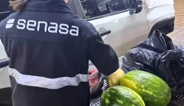 Senasa: Decomisaron m�s de 2 toneladas de productos en el Paso Cristo Redentor
