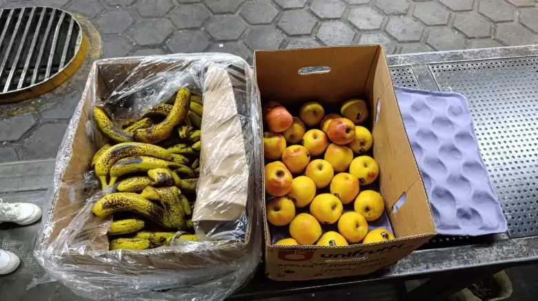 Senasa: Decomisaron m�s de 2 toneladas de productos en el Paso Cristo Redentor