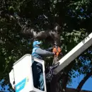 Contin�an los trabajos de mantenimiento en la Ciudad de Mendoza: en qu� zonas