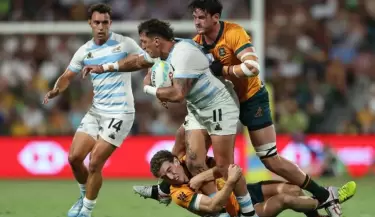 los pumas