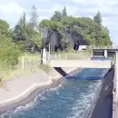 Un hombre se ahog� mientras se ba�aba con sus hijos en el canal Marginal de San Rafael