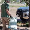 Asistirán con oxicloruro de cobre a productores afectados por el granizo en Santa Rosa
