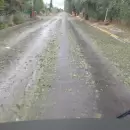 Fr�o, lluvias y nieve: el estado actual de las rutas mendocinas