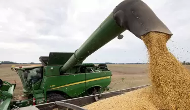 campo