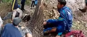 Caida de rayo en Malarg�e