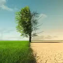�Por qu� se conmemora hoy el D�a Mundial de la Acci�n frente al Calentamiento Global?