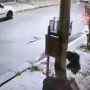 (Video) As� un jubilado mat� a un ladr�n de 15 a�os al defenderse del robo de su camioneta