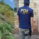 Secuestraron 26 plantas de marihuana en San Martín y hay un detenido con antecedentes
