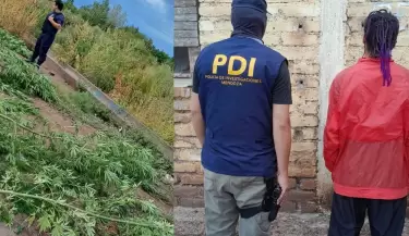 allanamiento