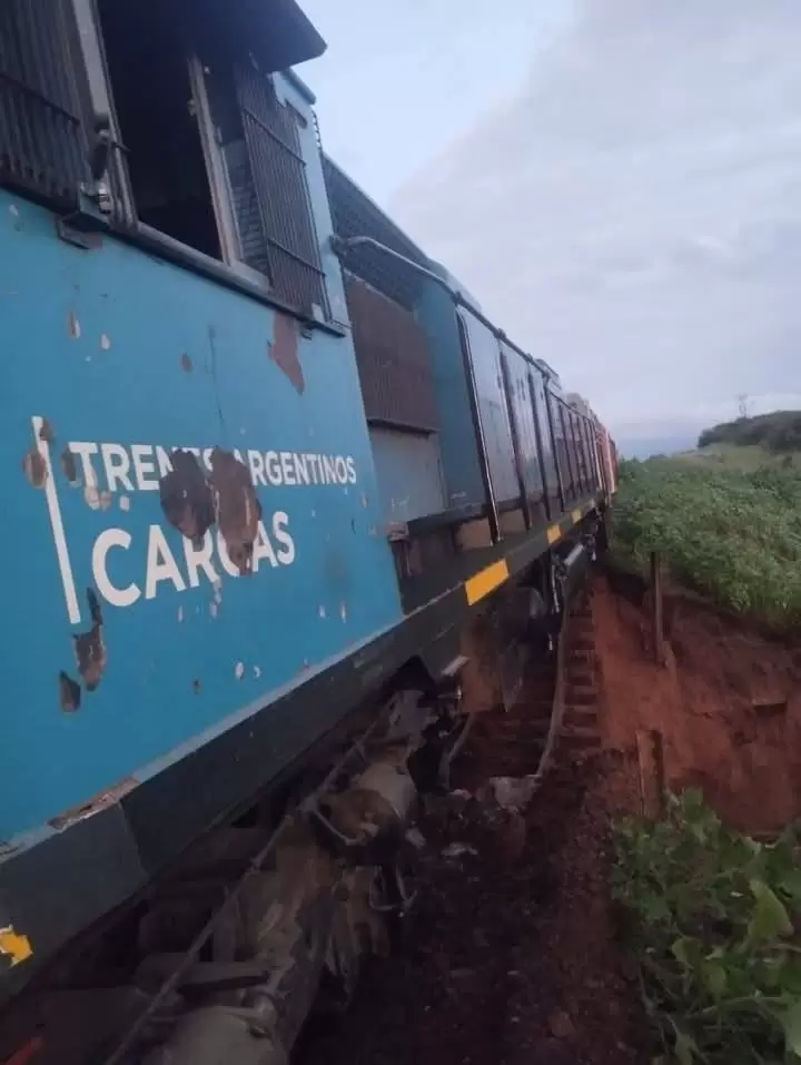 Tren de carga