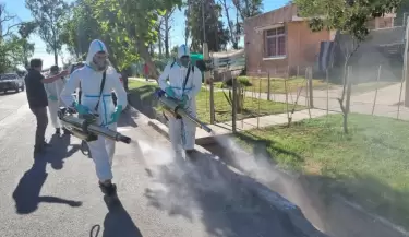 Control del dengue en Luj�n