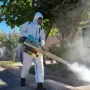 Contin�a el operativo de control del dengue en Mendoza