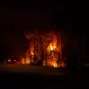 Incendio en El Bols�n: 1600 hect�reas afectadas y zonas evacuadas