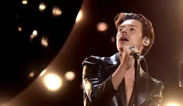 harry styles