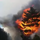 Confirmaron que los incendios en Epuy�n y El Bols�n fueron intencionales