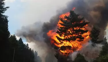 incendio epuyen