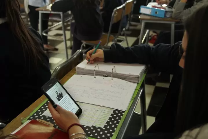 celulaes