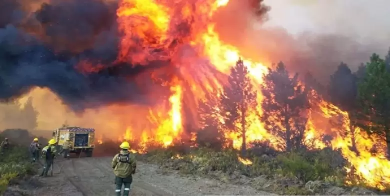 incendios patagonia