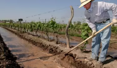agricultor