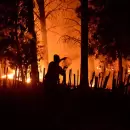 El Gobierno envió al Congreso un proyecto para agravar las sanciones por incendios intencionales