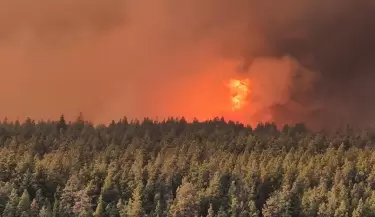 incendio patagnonia