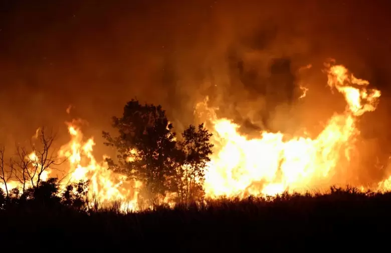 incendios patagonia