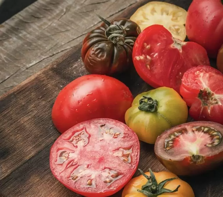 Festival del Tomate