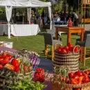 El Festival �Del Tomate! vuelve con tres d�as de sabores, m�sica y tradici�n