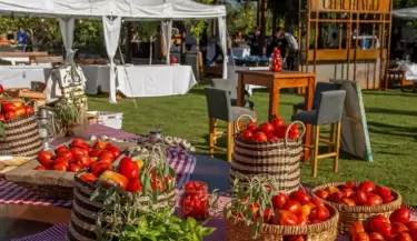 Festival del Tomate