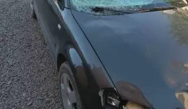 Accidente en Tupungato