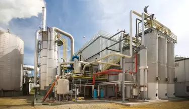 producci�n de alcohol