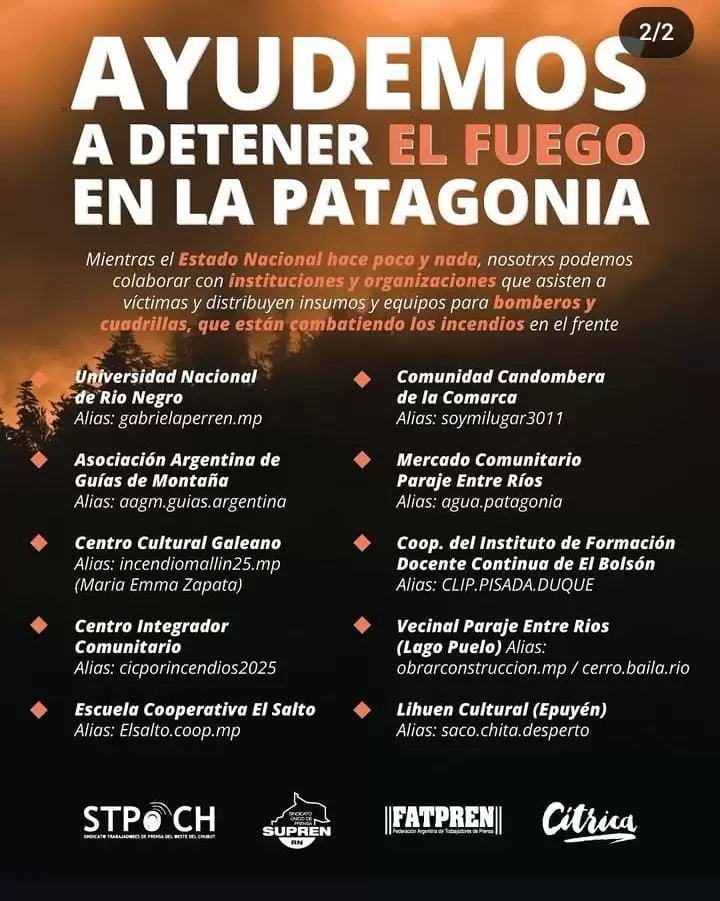 colaboraciones patagonia