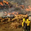 Mientras el fuego arras� la Patagonia, el Gobierno demor� dos meses en comprar mangueras