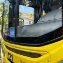 Grave accidente en Godoy Cruz: dos mujeres fueron atropelladas por un micro y una est� grave