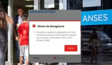 C�digo 10080 en ANSES