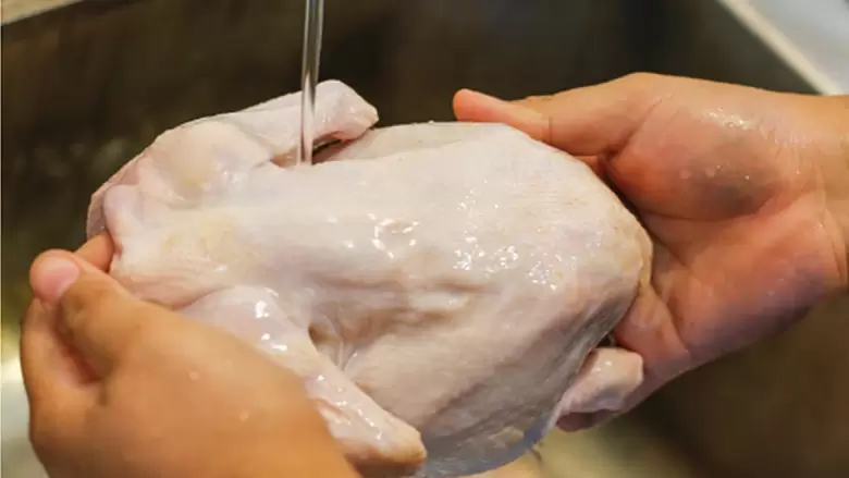 POLLO