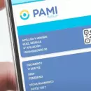 PAMI y su credencial digital: c�mo usarla y qu� formatos siguen v�lidos