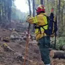 Brigadistas mendocinos contin�an combatiendo los incendios en la Patagonia