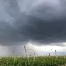 Alerta por fuertes tormentas en varias provincias: intensas lluvias, viento y posible granizo