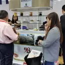 Una empresa familiar de San Rafael debuta en la feria m�s importante de Medio Oriente