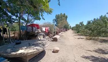 explotaci�n laboral