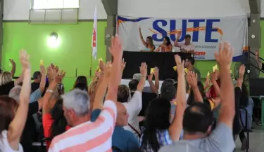 sute
