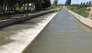 canal medrano