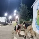 Tres detenidos en San Carlos por intentar huir con piches eviscerados y armas blancas
