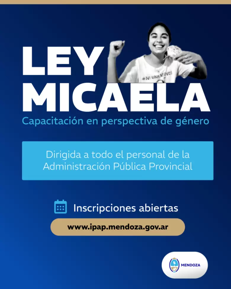 Ley Micaela