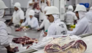 Carne